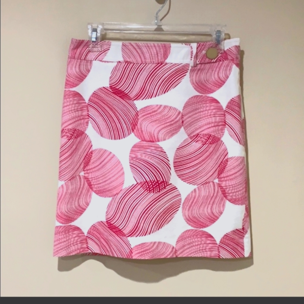 Ann Taylor skirt